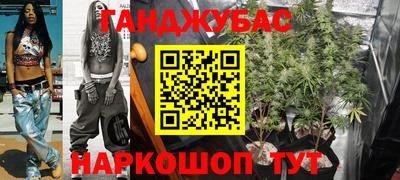 сатива Лесосибирск